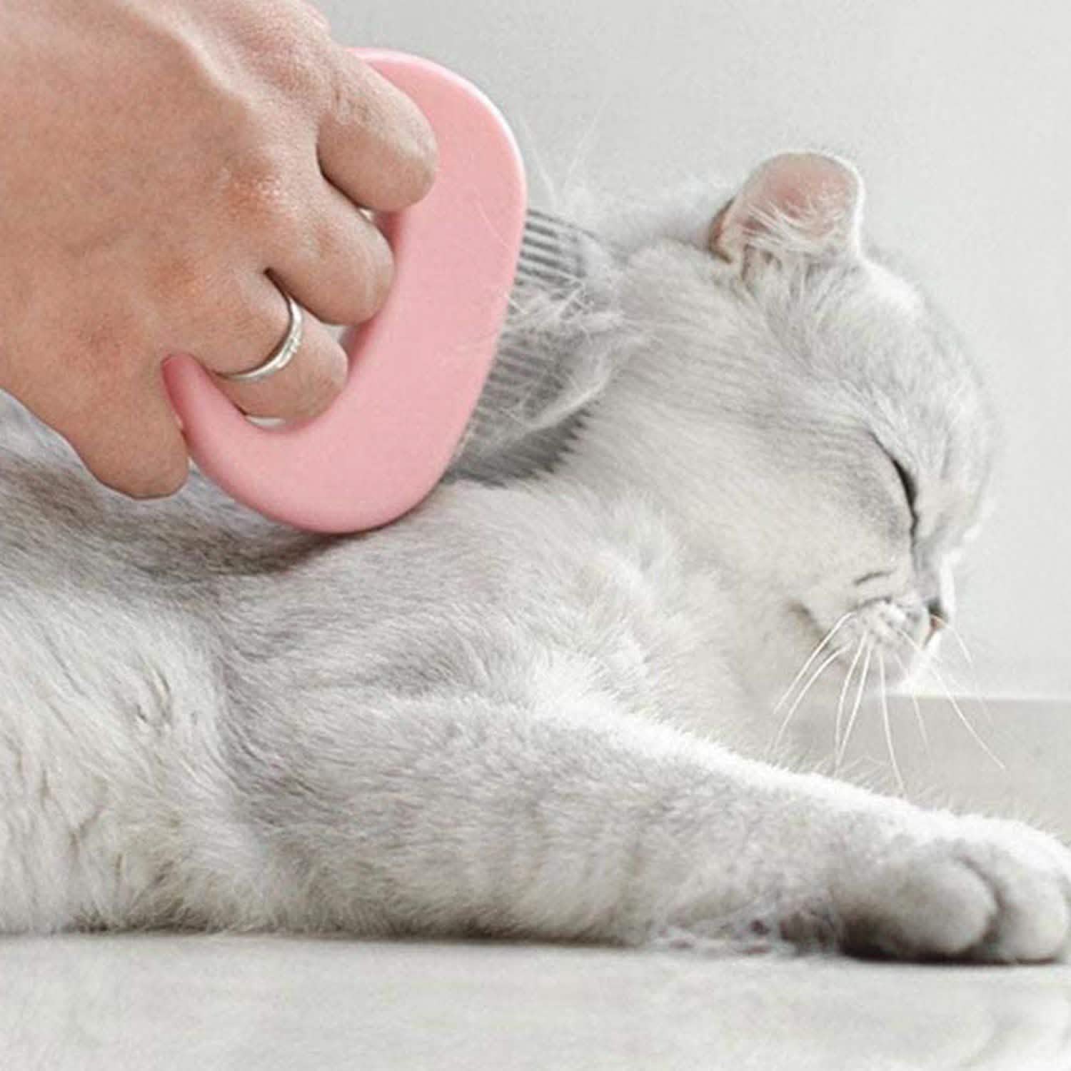 2-Pack: Pet Hair Removal And Massaging Shell Comb Brush For Grooming And Shedding